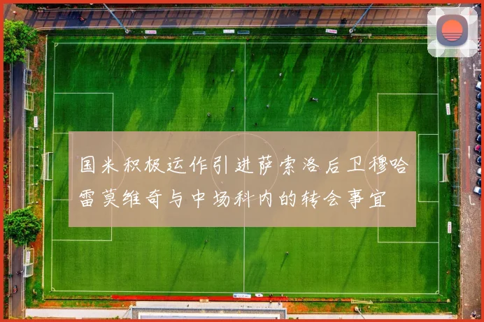 国米积极运作引进萨索洛后卫穆哈雷莫维奇与中场科内的转会事宜